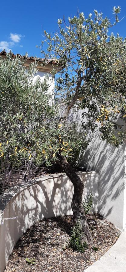 Villa Jasmin Régusse Exteriör bild